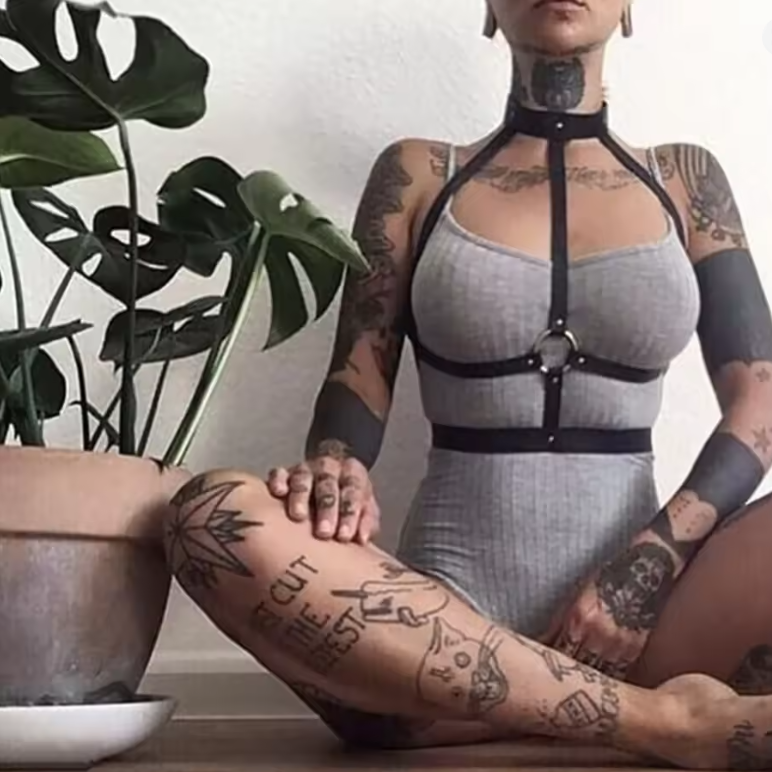 Crimson Dominion Harness