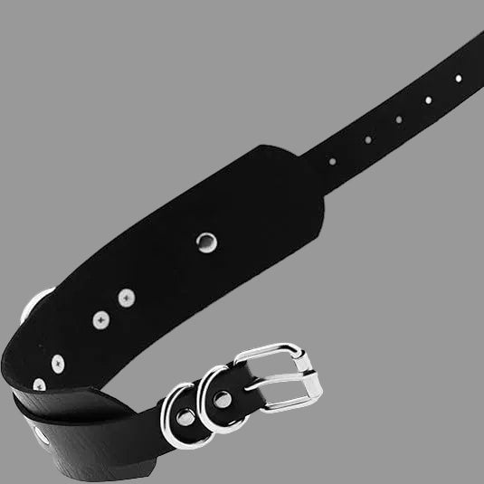 Void Empress Spike Collar