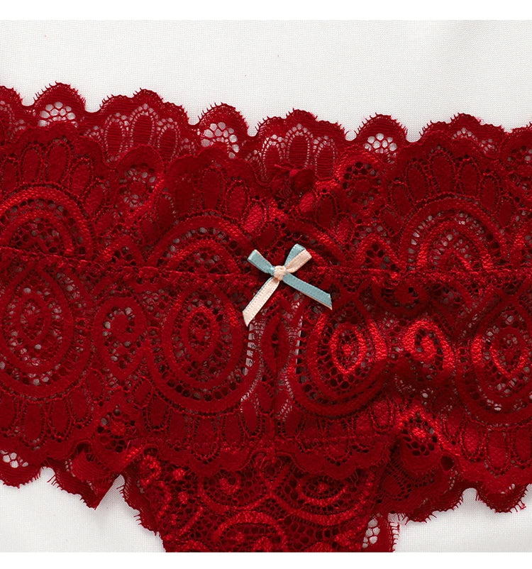 Allure Soft Lace Bikini Thong