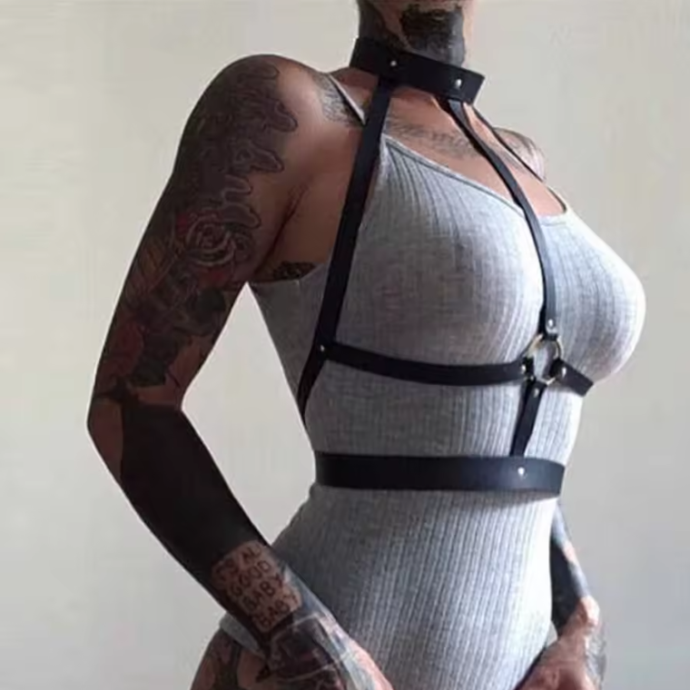 Crimson Dominion Harness